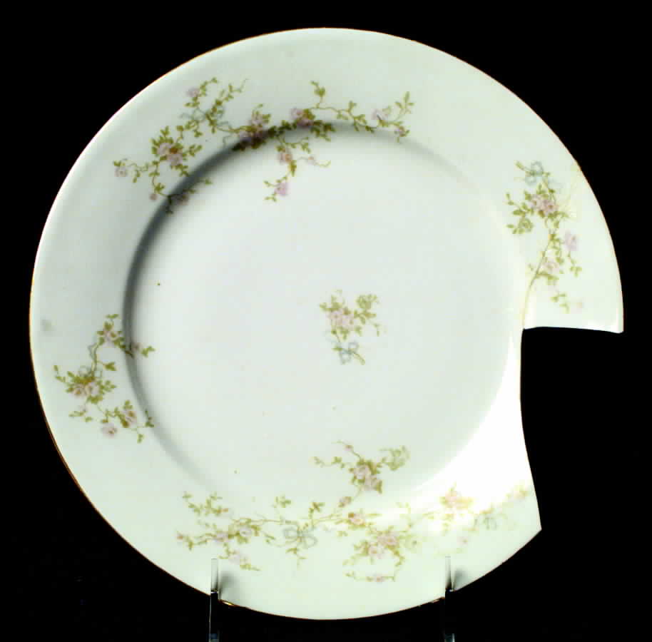 AUS8 Dinner Plate by Austria-1