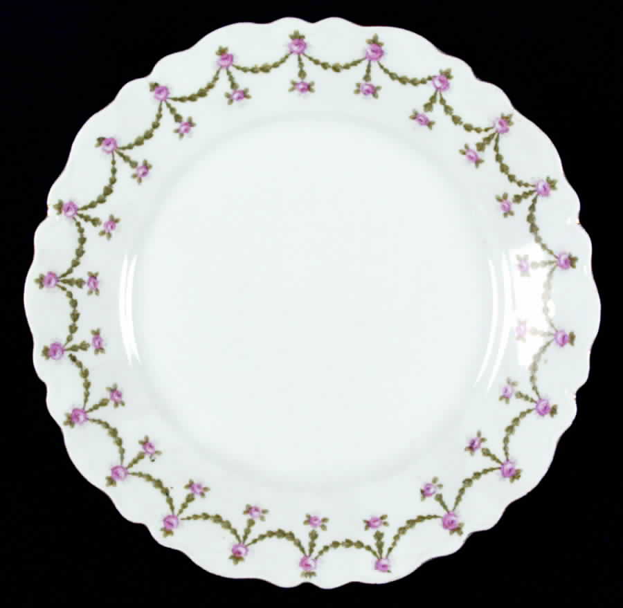AUS83 Dinner Plate by Austria-1