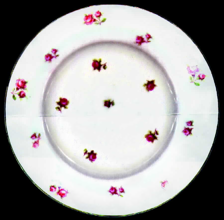 AUS86 Salad Plate by Austria-1