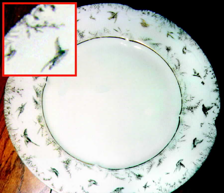 AUS87 Dinner Plate by Austria-1