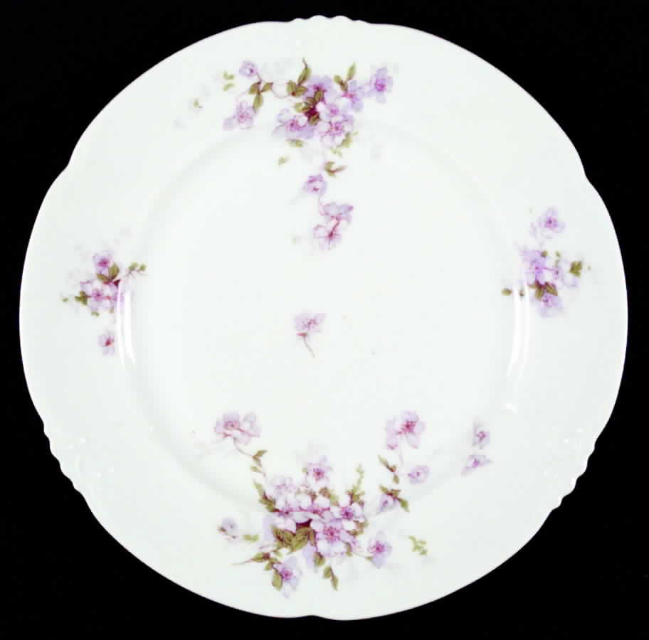 AUS9 Salad Plate by Austria-1