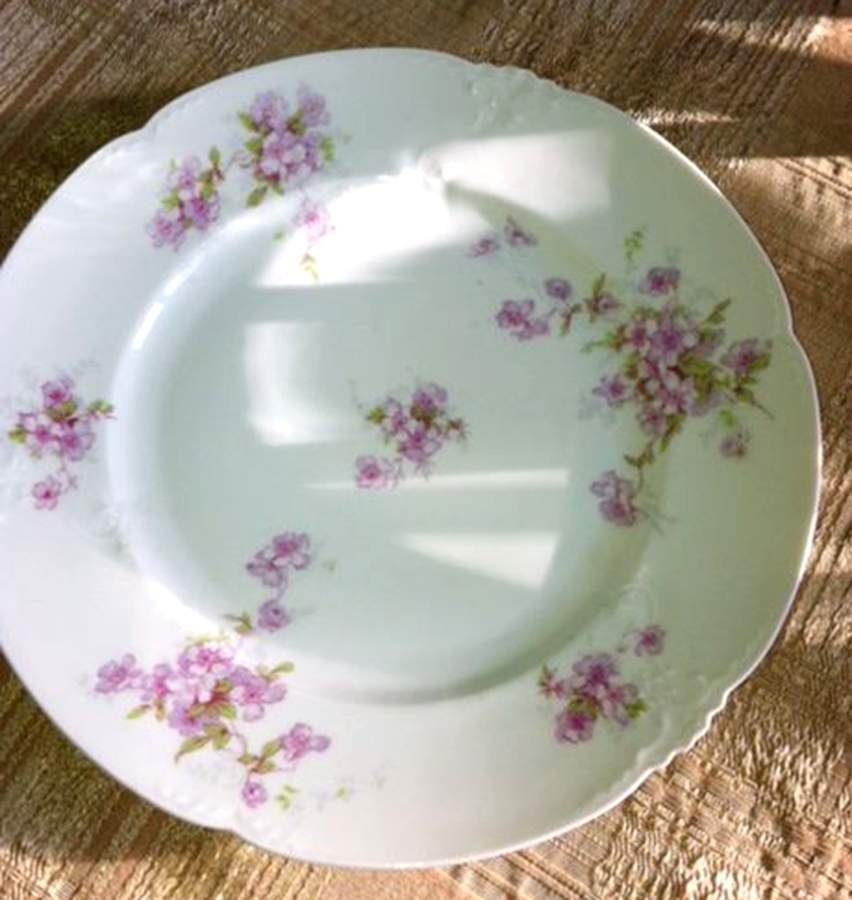 AUS9 Dinner Plate by Austria-1