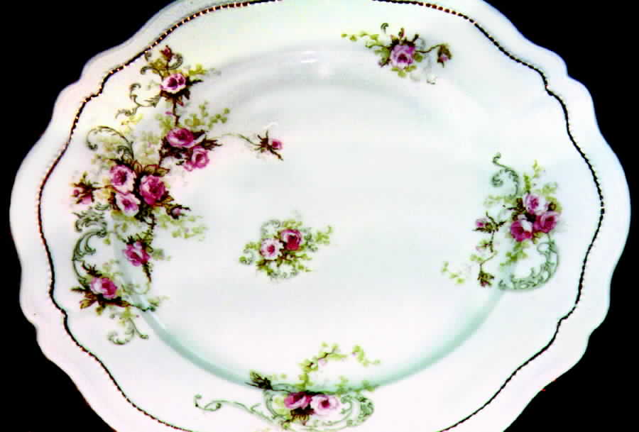 AUS94 Dinner Plate by Austria-1