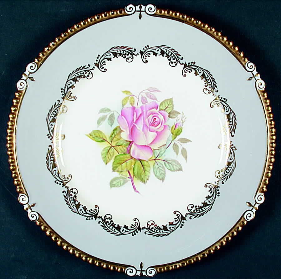7913 Dinner Plate by John  Aynsley & Sons-1