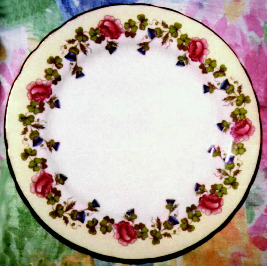 C1307-5 Dinner Plate by John  Aynsley & Sons-1