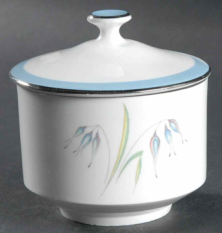 Flying Wild Sugar Bowl & Lid by John  Aynsley & Sons-1