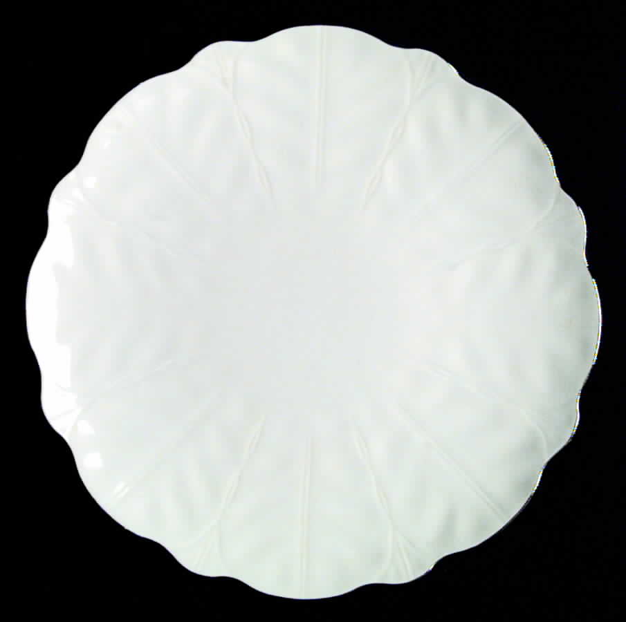 Spring Crocus Dinner Plate by John  Aynsley & Sons-1