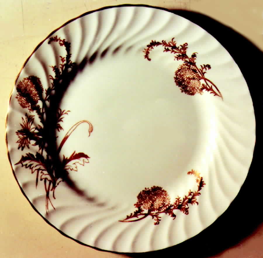 Wayside Dinner Plate by John  Aynsley & Sons-1