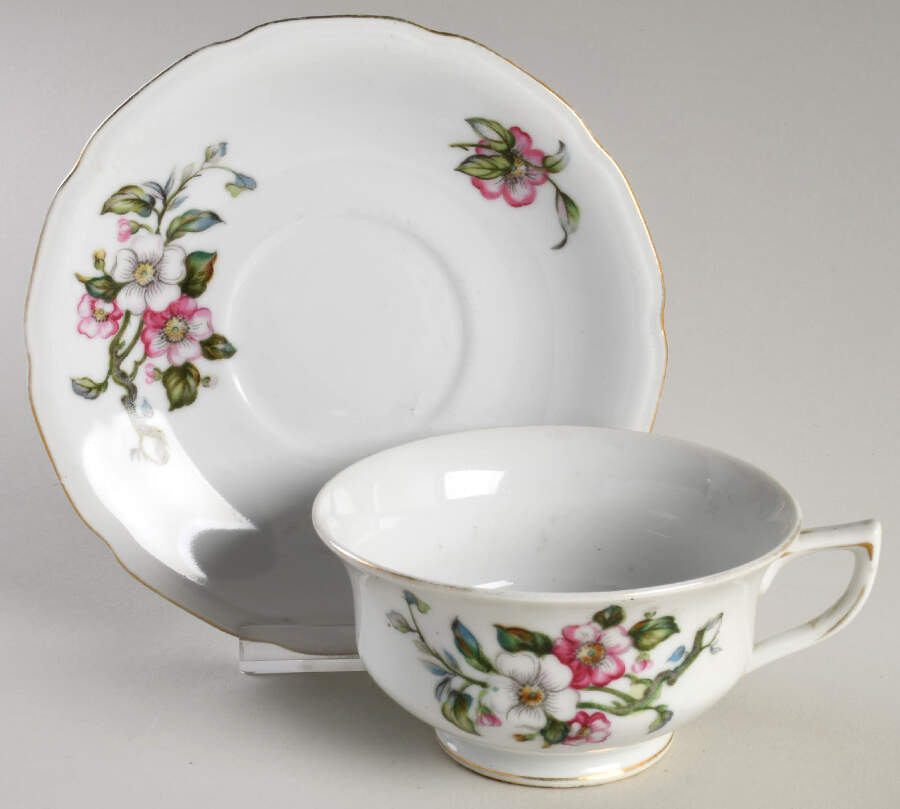 Apple Blossom Footed Cup & Saucer Set by ACI-1