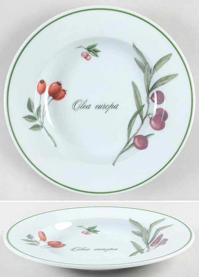 Elysian Gardens Large Rim Soup Bowl by Apilco-1