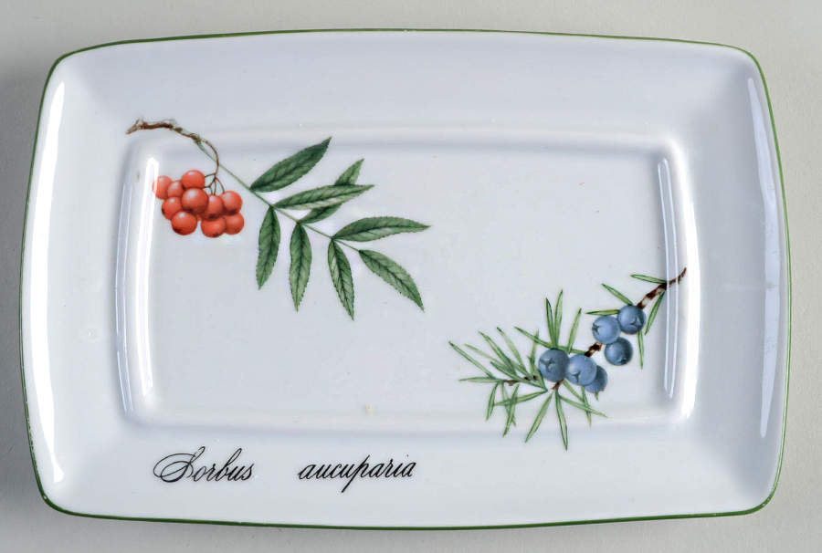 Elysian Gardens Rectangular Butter No Lid by Apilco-1