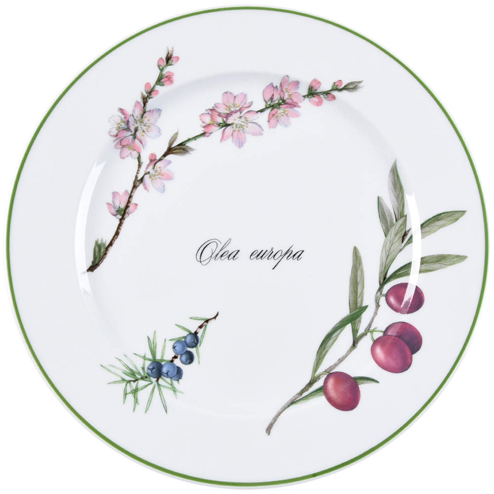 Elysian Gardens Dinner Plate by Apilco-1