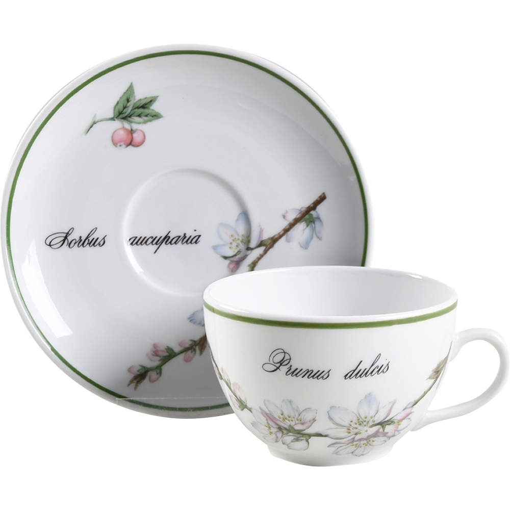 Elysian Gardens Flat Cup & Saucer Set by Apilco-1