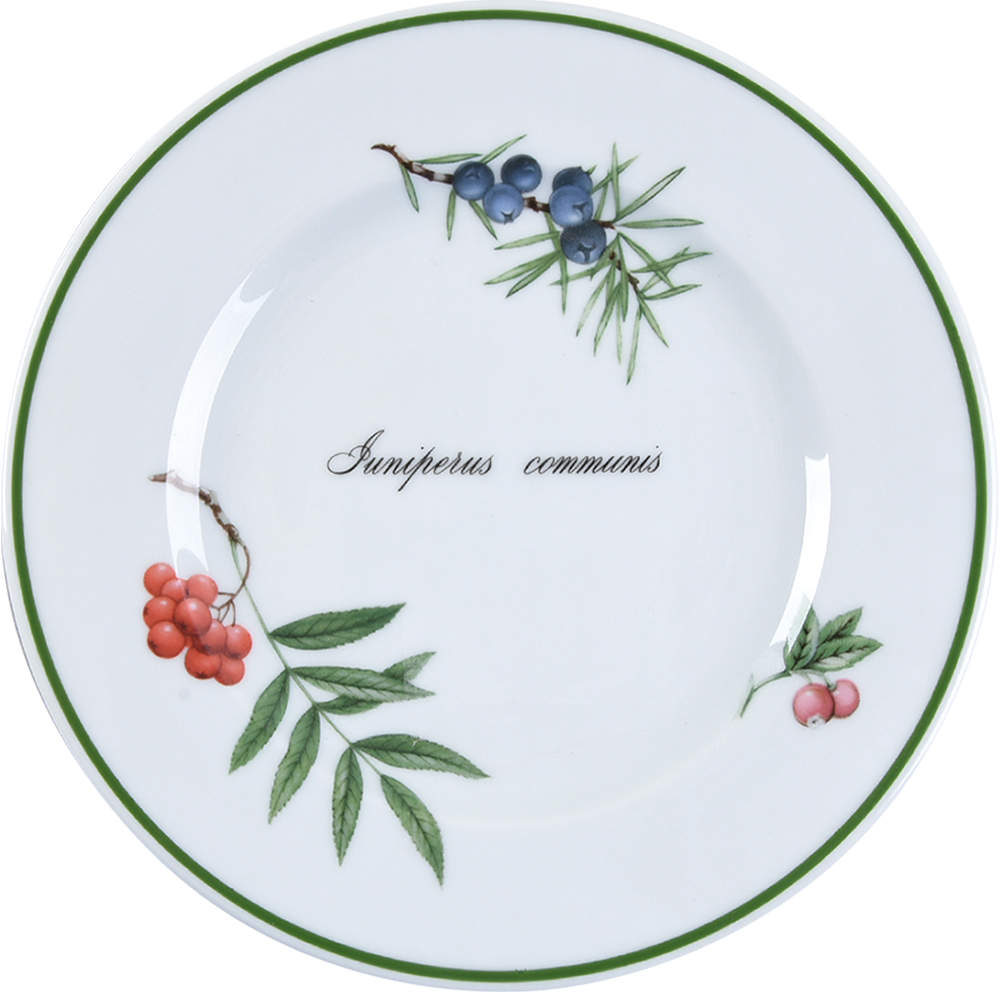 Elysian Gardens Dessert/Pie Plate by Apilco-1