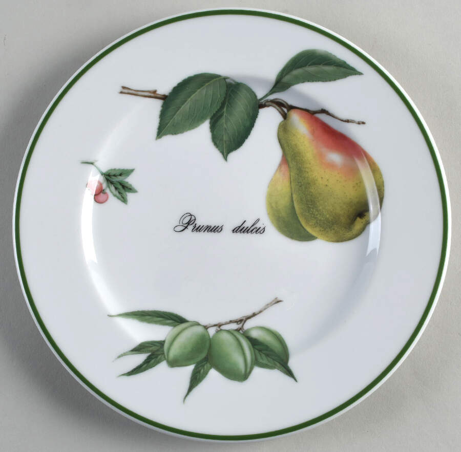 Elysian Gardens Salad Plate by Apilco-1