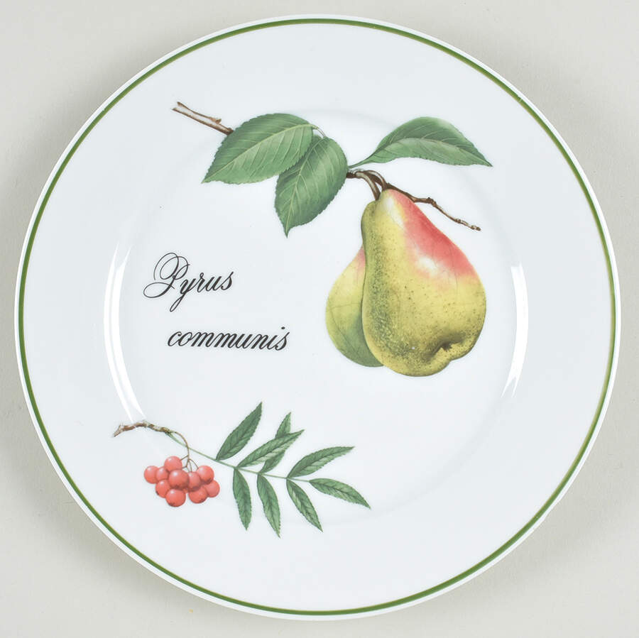 Elysian Gardens Salad Plate by Apilco-1