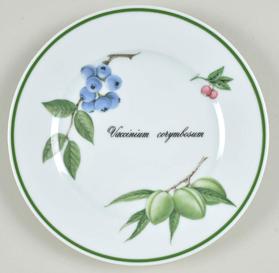Elysian Gardens Dessert/Pie Plate by Apilco-1