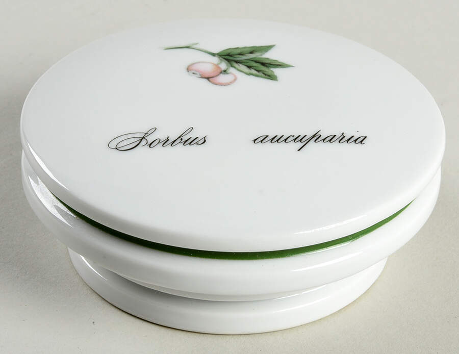 Elysian Gardens Lid for Extra Large Canister by Apilco-1