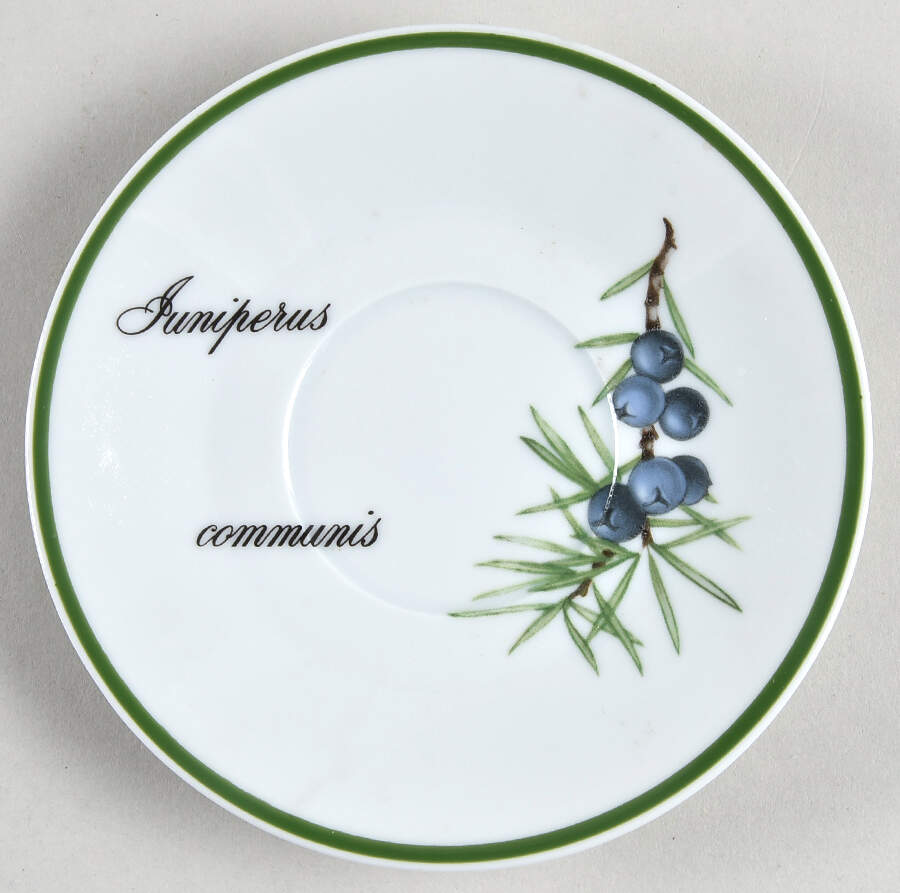 Elysian Gardens Saucer for Flat Demitasse Cup by Apilco-1