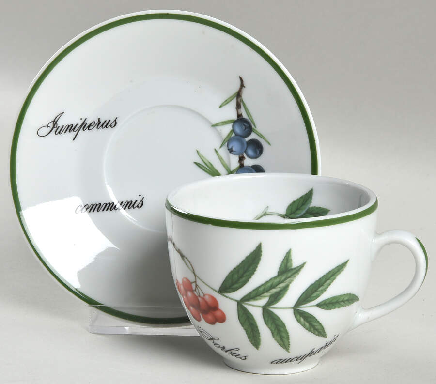 Elysian Gardens Flat Demitasse Cup & Saucer Set by Apilco-1