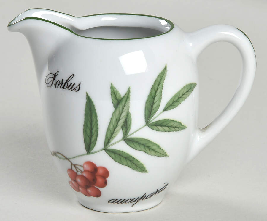 Elysian Gardens Creamer by Apilco-1
