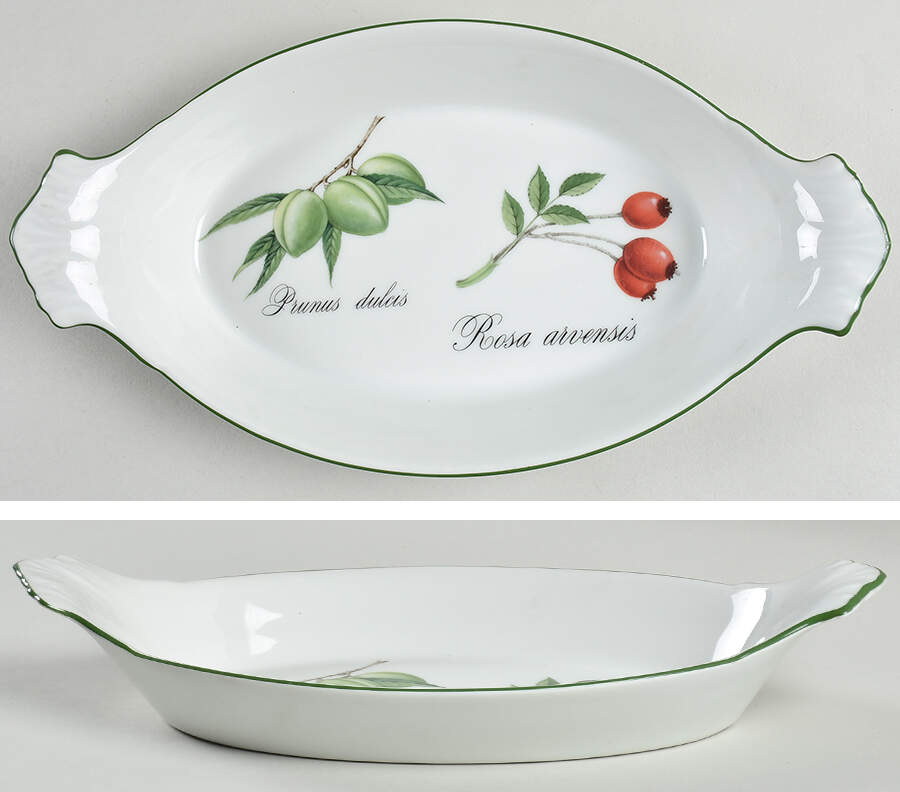 Elysian Gardens 11" Augratin by Apilco-1