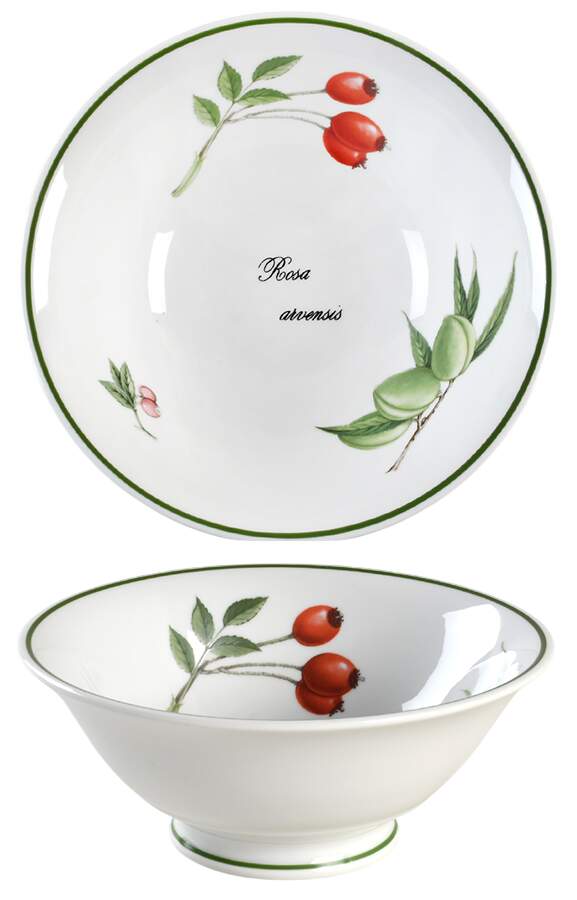 Elysian Gardens Individual Salad Bowl by Apilco-1