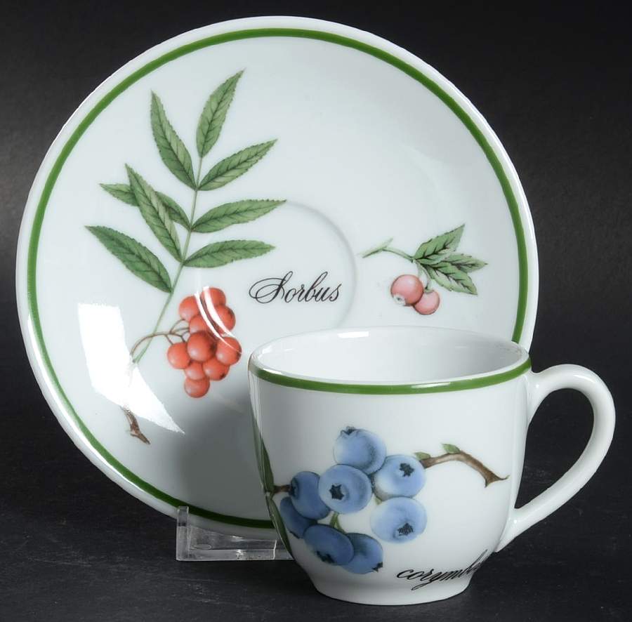 Elysian Gardens Flat Demitasse Cup & Saucer Set by Apilco-1