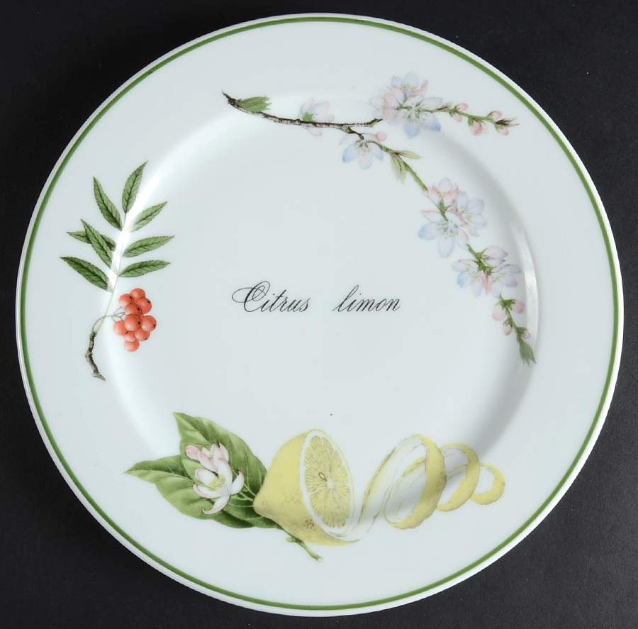 Elysian Gardens Dinner Plate by Apilco-1