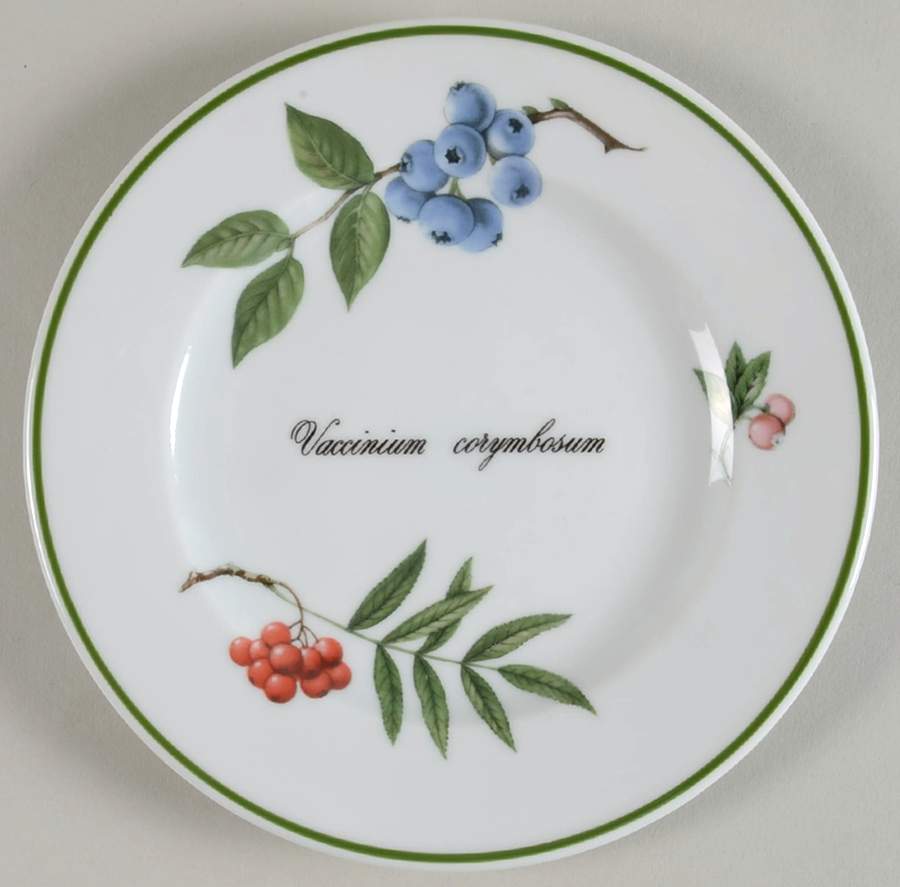 Elysian Gardens Dessert/Pie Plate by Apilco-1