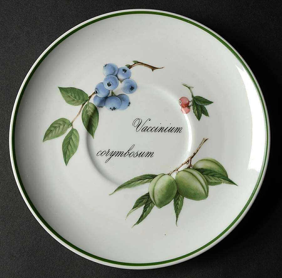 Elysian Gardens Saucer for Jumbo Cup by Apilco-1