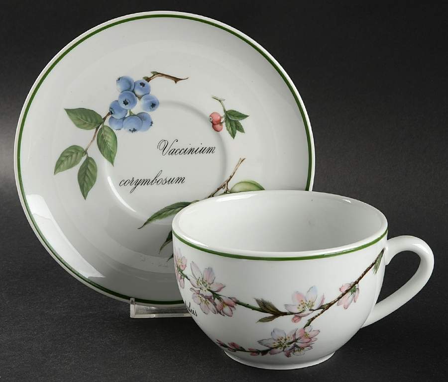 Elysian Gardens Jumbo Cup & Saucer Set by Apilco-1