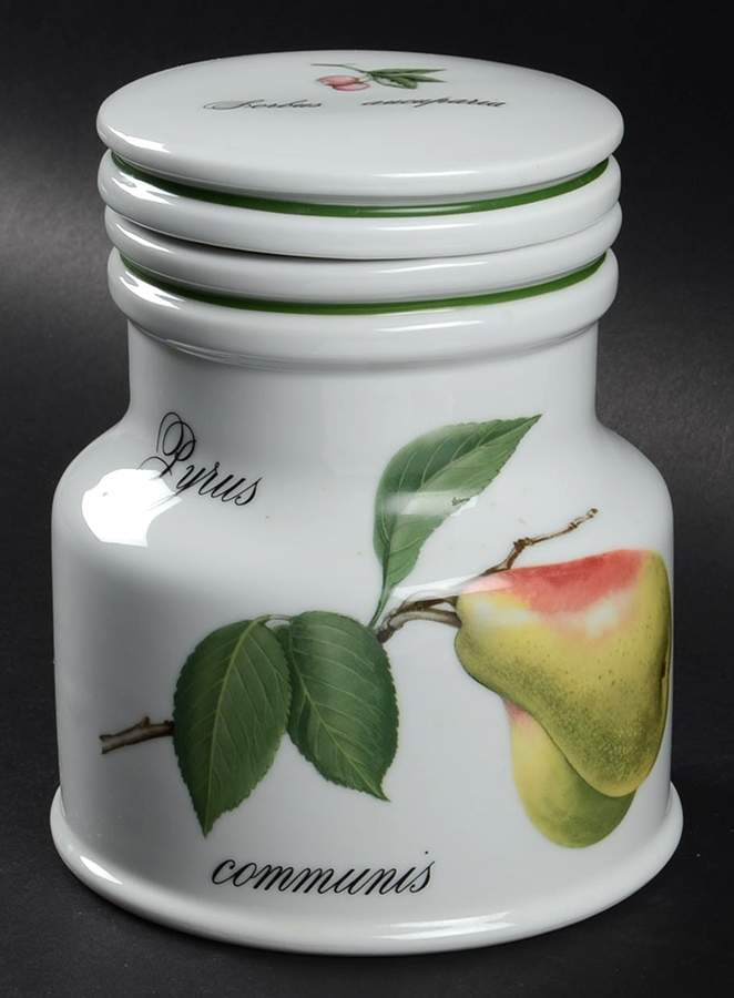 Elysian Gardens Large Canister & Lid by Apilco-1