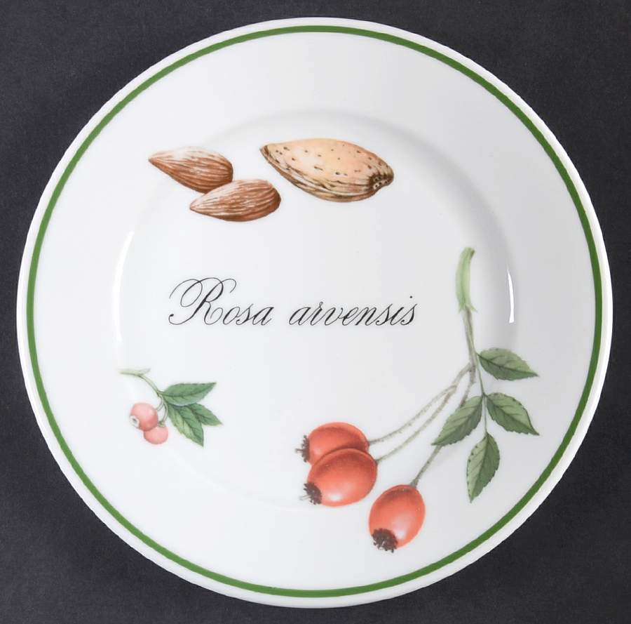 Elysian Gardens Bread & Butter Plate by Apilco-1