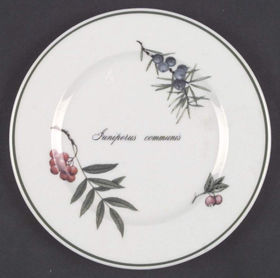 Elysian Gardens Salad Plate by Apilco-1