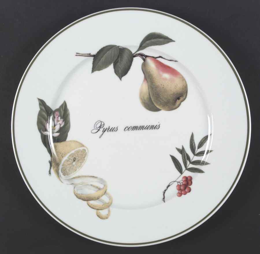 Elysian Gardens Large Dinner Plate by Apilco-1