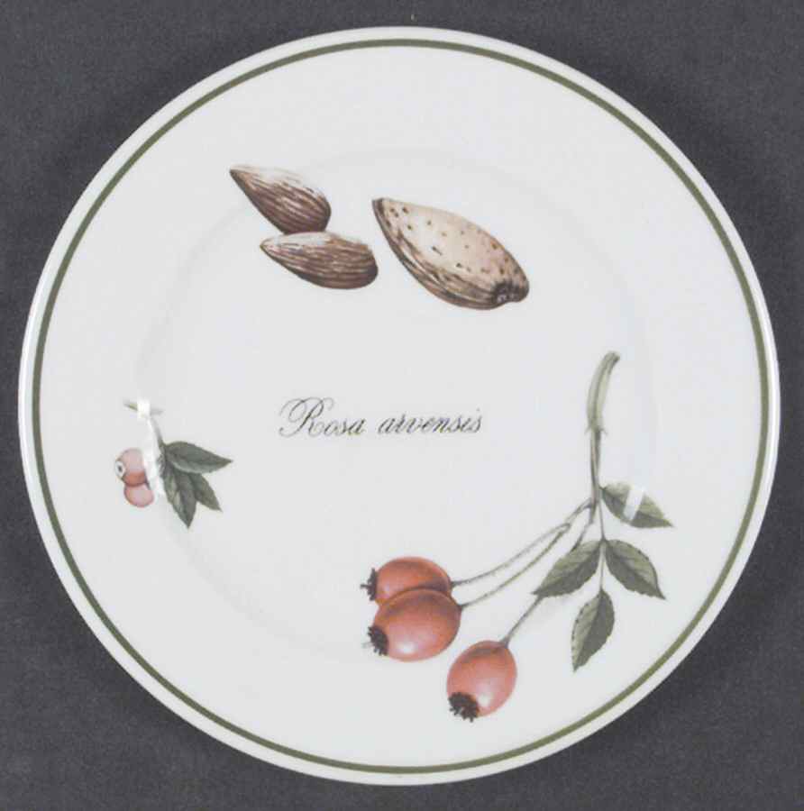 Elysian Gardens Bread & Butter Plate by Apilco-1