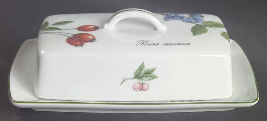 Elysian Gardens Rectangular Covered Butter by Apilco-1