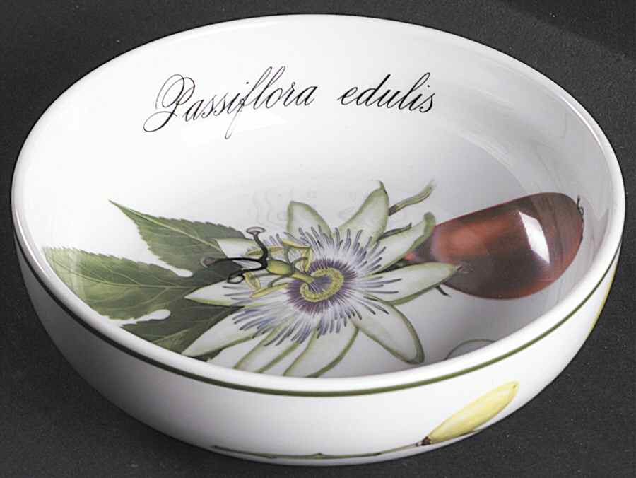Elysian Gardens Individual Salad Bowl by Apilco-1