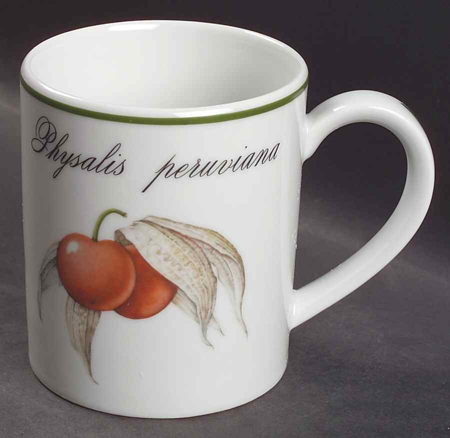Elysian Gardens Mug by Apilco-1