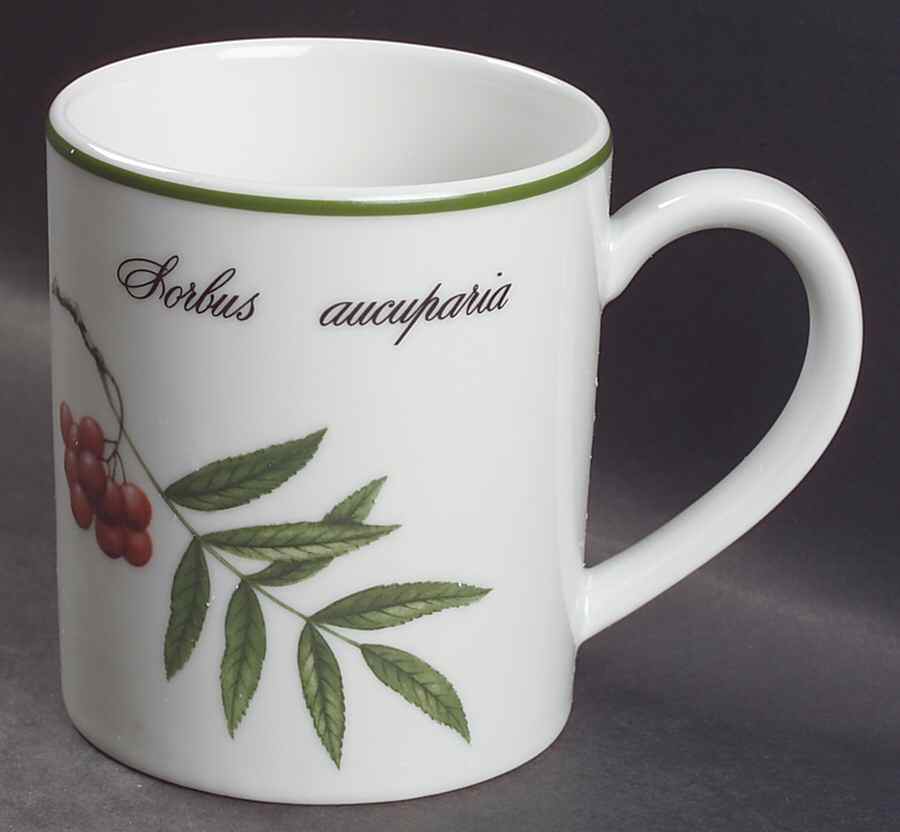 Elysian Gardens Mug by Apilco-1