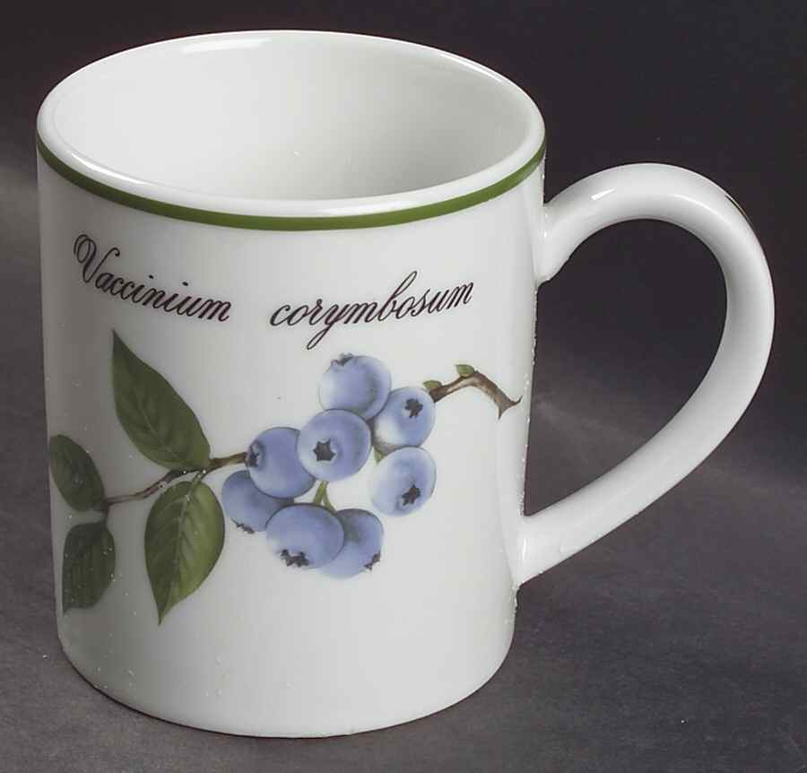 Elysian Gardens Mug by Apilco-1