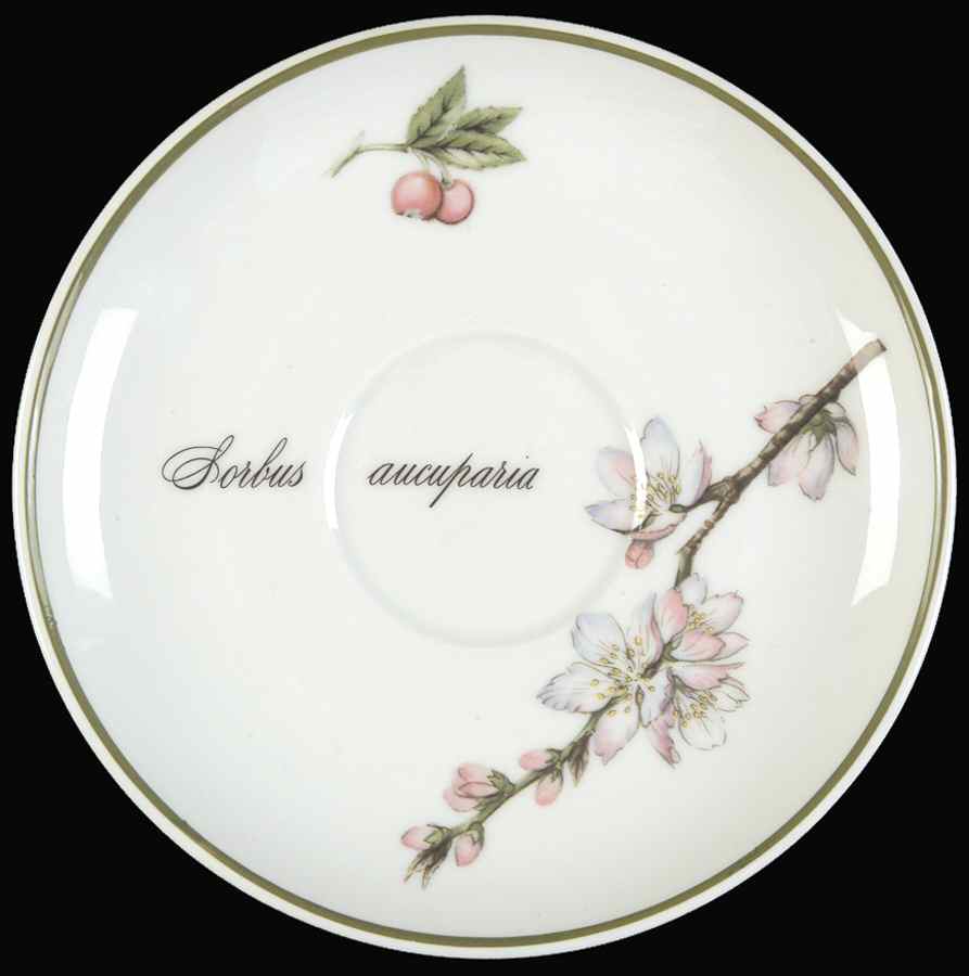 Elysian Gardens Saucer by Apilco-1