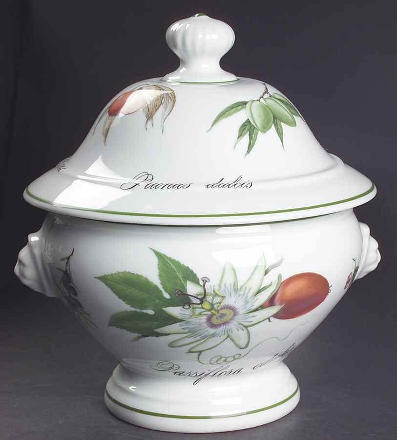 Elysian Gardens Tureen &  Lid by Apilco-1