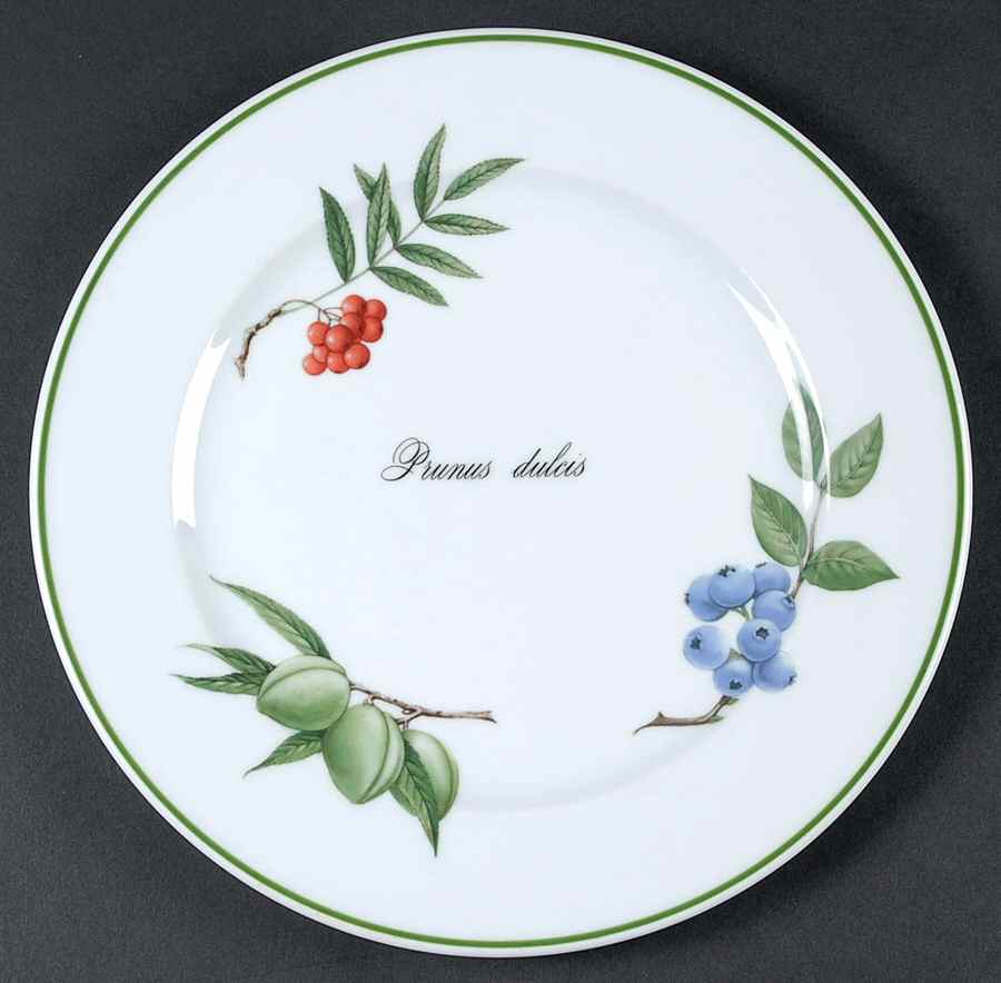 Elysian Gardens Luncheon Plate by Apilco-1