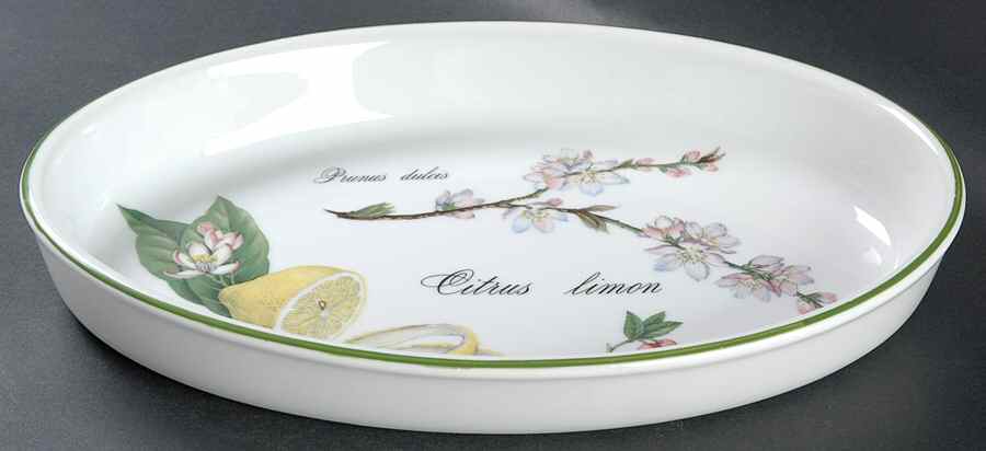 Elysian Gardens 11" Oval Baker by Apilco-1