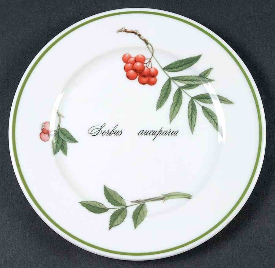 Elysian Gardens Bread & Butter Plate by Apilco-1
