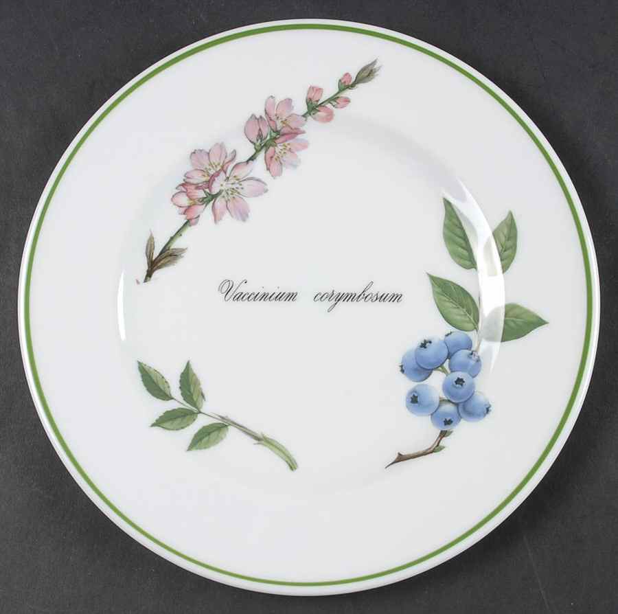 Elysian Gardens Salad Plate by Apilco-1