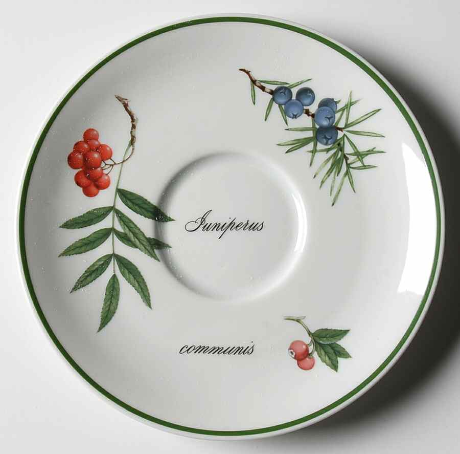 Elysian Gardens Saucer for Breakfast Cup by Apilco-1