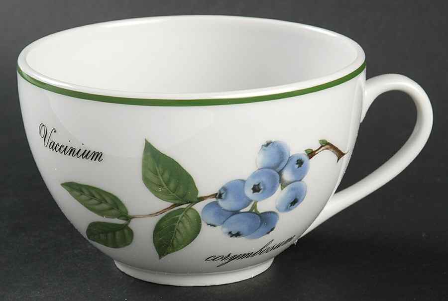 Elysian Gardens Breakfast Cup by Apilco-1